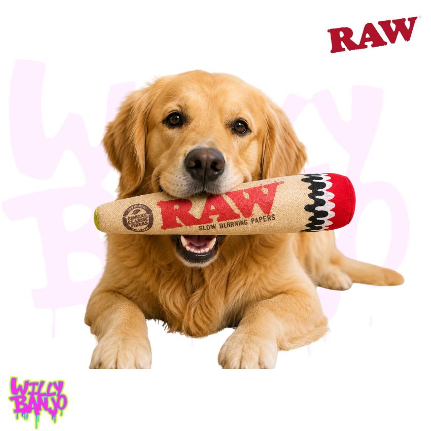 RAW Squeaky Cone Dog Toy - Official RAW Merchandise