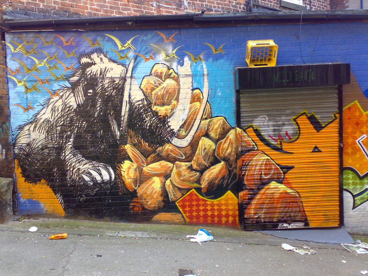 Elephant graffiti mural by Geoff on the Willy Banjo wall